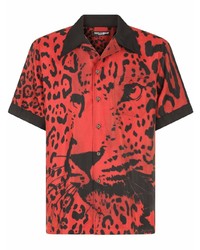 Camicia a maniche corte leopardata rossa di Dolce & Gabbana