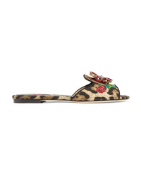 Sandali piatti in pelle scamosciata leopardati marrone chiaro di Dolce & Gabbana