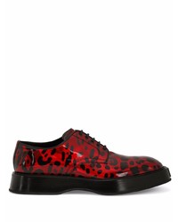 Scarpe derby in pelle stampate rosse di Dolce & Gabbana