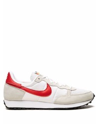 Scarpe sportive grigie di Nike