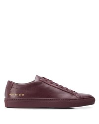 Sneakers basse in pelle bordeaux di Common Projects